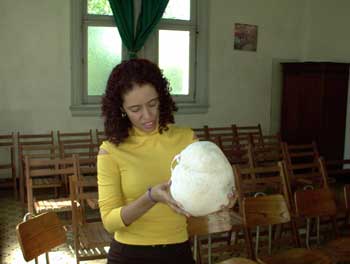 Prof. Dra. Valeria Silva Braz&nbsp;